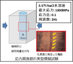 腐食疲労模擬試験